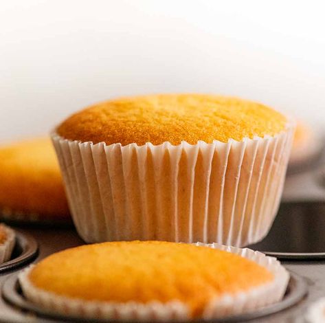 Basic Cupcake Recipe, Easy Vanilla Cupcakes, Moist Vanilla Cupcakes, Vanilla Muffins, Moist Cupcakes, Cupcake Decorating Tips, Vanilla Cupcake Recipe, Recipetin Eats, Sponge Cake Recipes