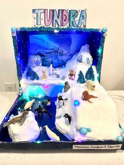 Tundra Diorama Projects, Tundra Biome Shoebox Project, Arctic Diorama For Kids, Tundra Biome Project, Animal Habitat Project, Tundra Project, Ecosystems Diorama, Shoe Box Diorama, Ecosystem Project