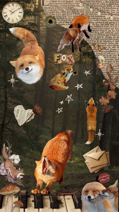 #vibes #nature #vintage #foxes Fox Core Aesthetic, Fox Collage Art, Tosia Core, Red Fox Aesthetic, Fox Wallpaper Iphone, Fox Wallpaper Aesthetic, Fox Collage, Foxes Wallpaper, Fox Background