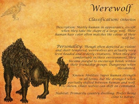 Interesting Werewolf Lore | Werewolves Werewolf Information, Werewolf Spells That Work, Werewolf Folklore, Werewolf Wedding, Werewolf Facts, Werewolf Core, Monster Mythology, Werewolf Lore, Werewolf Mythology