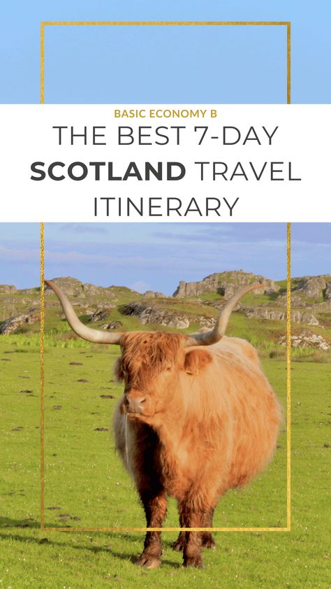 The Best 7-Day Scotland Itinerary Scotland Holiday, Scotland Itinerary, Trip To Scotland, Scotland Travel Guide, Scotland Road Trip, Isle Of Mull, Scotland Trip, Glen Coe, Travel Scotland