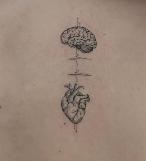 Heart Brain Tattoo Minimalist, Neurology Tattoo, Heart And Brain Scale Tattoo, Heart And Mind Tattoo, Lulu Tattoo, Brain And Heart Tattoo, Heart And Brain Tattoo, Human Heart Tattoo, Family Tattoo Ideas