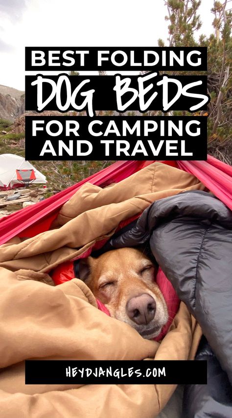 10 Best Folding Dog Bed Options for Camping and Travel - featuring popular travel and outdoor dog brands such as Kurgo, Spruce Pup, Helinox, Dog Helios, Chuckit!, Lightspeed Outdoors and more! #campingwithdogs #dogbed #travelbed Rv Dog Bed, Travel Dog Bed, Van Life Dog Bed, Camping With A Puppy, Camping Dog Bed, Dog Camping Gear, Rv Dog, Dog Brands, Dog Winter Boots