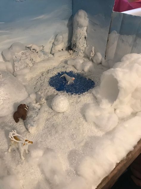 Winter Diorama Kids, Tundra Biome Project, Science Diorama, Artic Tundra, Tundra Project, Tundra Biome, Arctic Habitat, Biomes Project, Desert Diorama