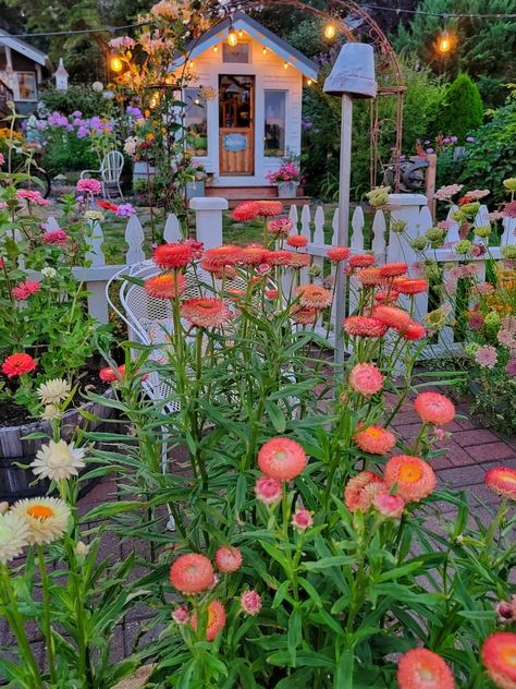 Learn how to fill your home with gorgeous cut flowers grown from seed with our beginner-friendly tips from Shiplap and Shells. Cottage Style Garden, Easiest Flowers To Grow, Deer Resistant Garden, Late Summer Flowers, Shasta Daisies, Summer Flowers Garden, Dahlias Garden, Deer Resistant Plants, Cut Flower Garden