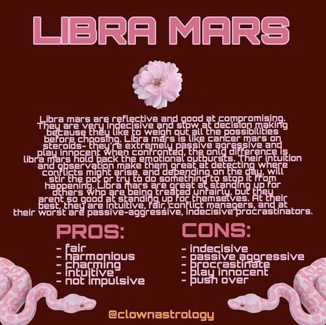 Libra Mars, Mars In Libra, Positive Personality Traits, Virgo Sun Aquarius Moon, My Birth Chart, Relationship Astrology, Virgo Sun, Aquarius Moon, North Node