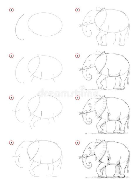 Natural Things Drawing, Animals Step By Step Drawings, Elephant How To Draw, Elefante Drawing, Simple Animal Drawings Step By Step, Sketch Learning Step By Step, How To Draw Jungle Animals, Beginner Drawing Ideas Step By Step Art Lessons, Pencil Art Drawings Step By Step