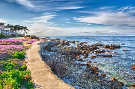 Where To Eat, Play, and Stay in Pacific Grove, California Small Towns In California, Pacific Grove California, Open Hotel, Kimpton Hotels, Monterey Peninsula, Coastal Elegance, Pacific Grove, Pismo Beach, Camping Area