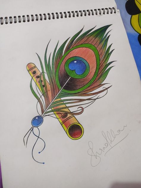 Peackok Feather Drawing, Easy Peacock Feather Drawing, Peacock Feather Drawing Simple, Peacock Feathers Drawing, Peacock Feather With Flute, Holi Cards, Peacock Feather Painting, Peacock Feather Drawing, Poor Quotes