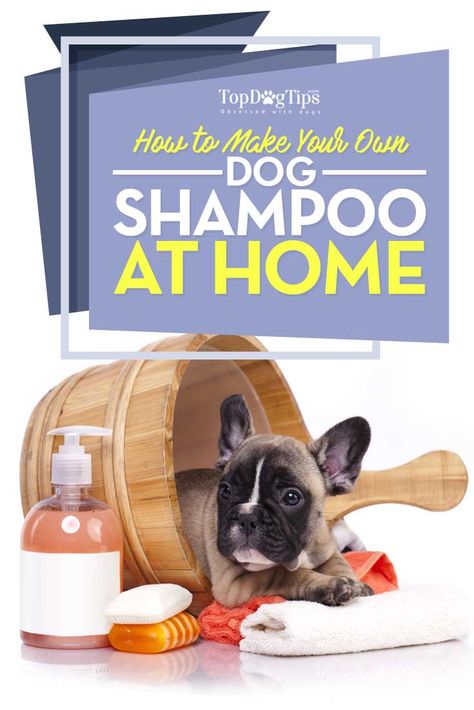 How to Make Homemade Flea Shampoo for Dogs - Top Dog Tips Homemade Flea Shampoo, Flea Shampoo For Dogs, Flea Shampoo For Cats, Grooming Dogs, Best Dog Shampoo, Dog Grooming Tools, Flea Shampoo, Angora Cats, Dog Diy