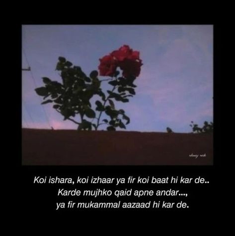 Gulab Shayari, Rose Poetry, One Liner Quotes, Lonliness Quotes, Meaningful Love Quotes, Words That Describe Feelings, Shyari Quotes, Just Happy Quotes, Look Up Quotes