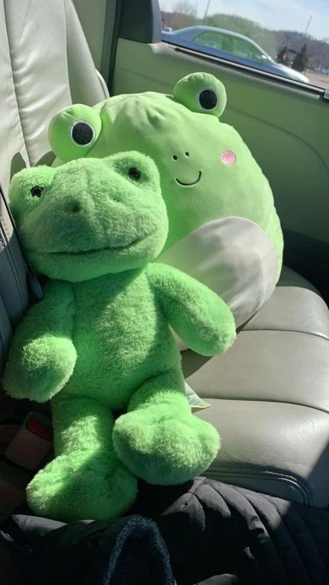 Frog Plushie Aesthetic, Plushie Aesthetic, Frog Plushie, Frog Wallpaper, Frog Pictures, Cute Squishies, Kitty Plush, Cadeau Photo, Green Frog