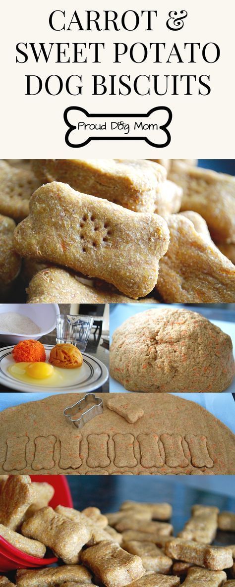 Diy Dog Treats Healthy, Sweet Potato Dog, Potato Dog, Easy Dog Treat Recipes, Dog Biscuit Recipes, Easy Dog Treats, Healthy Dog Treats Homemade, Sweet Potatoes For Dogs, Dog Treats Homemade Recipes