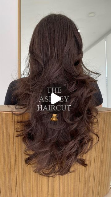 Ashley LaMarca on Instagram: "the Ashley haircut 🤭🎀🧸🤍✨   • haircut, layered haircut, long haircut #haircut #hairtransformation #layeredhaircut #ashleyhaircut #layeredhair" Best Haircuts For Thick Hair Long, Back Layers Long Hair, Long Layered Haircuts With Side Part, Long Layer Wavy Haircut, The Ashley Haircut, Ashley Lamarca Haircut, Ashley Lamarca Hair, Trim Haircuts Women, Side Part Haircuts Women