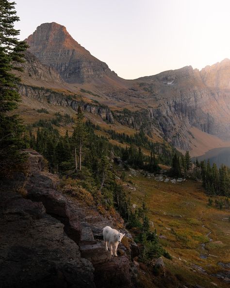 Here’s some flicks from the last couple months in Montana.. now off to my next adventure.. 🌙📷 Thank you @venusauman for some of these bangers #montana #explore #summer Montana Backyard, Montana Aesthetic, 2025 Moodboard, Bozeman Montana, Best Places To Live, Aesthetic Pics, Cowboy Western, Dream Board, Future Life