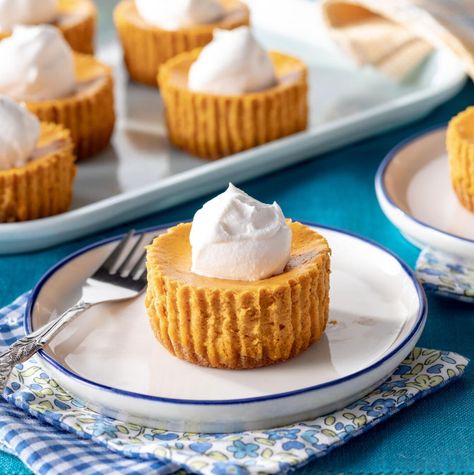 Mini Pumpkin Cheesecakes Recipe Pumpkin Cheesecakes, Mini Pumpkin Cheesecake, Pumpkin Cheesecake Recipes, Pumpkin Desserts, The Great Pumpkin, Pumpkin Everything, Pioneer Woman Recipes, Great Pumpkin, Pumpkin Pumpkin