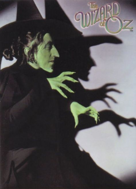 Our favorite villan we love to hate.  Just don't invite her over for a swim. Wizard Of Oz Witch, Wizard Of Oz Movie, Margaret Hamilton, Wizard Of Oz 1939, Oz Movie, Baba Jaga, Witch Pictures, Wicked Witch Of The West, Arte Peculiar