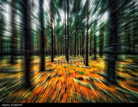 Slow Shutter Speed Photography, Distortion Photography, Rural Photography, Movement Photography, Environment Photography, Shutter Speed Photography, Speed Photography, Shutter Photography, Blur Photography