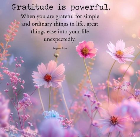 Always Be Grateful Quotes, So Grateful Quotes, July Quotes Inspiration, Be Grateful Quotes, Act Of Kindness Quotes, Mindset Quotes Inspiration, July Quotes, Grateful Quotes, Hug Quotes