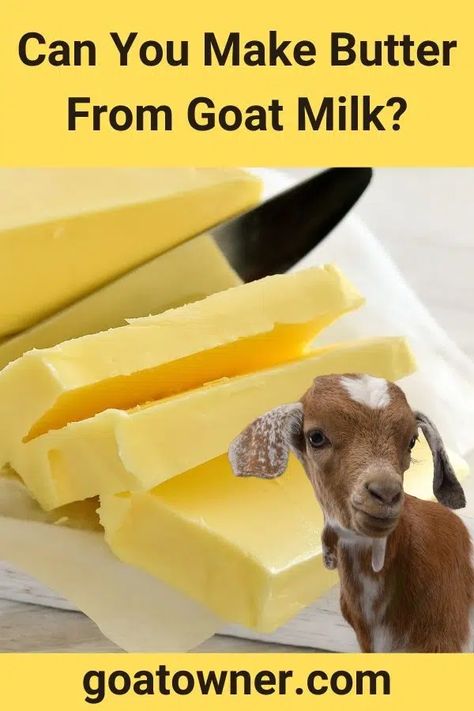 Butter From Goat Milk, Goat Butter How To Make, Goat Milk Butter How To Make, What Can I Make With Goat Milk, Things To Make From Goats Milk, Goat Milk Butter Recipe, What To Do With Goat Milk, Things To Do With Goat Milk, Uses For Goat Milk