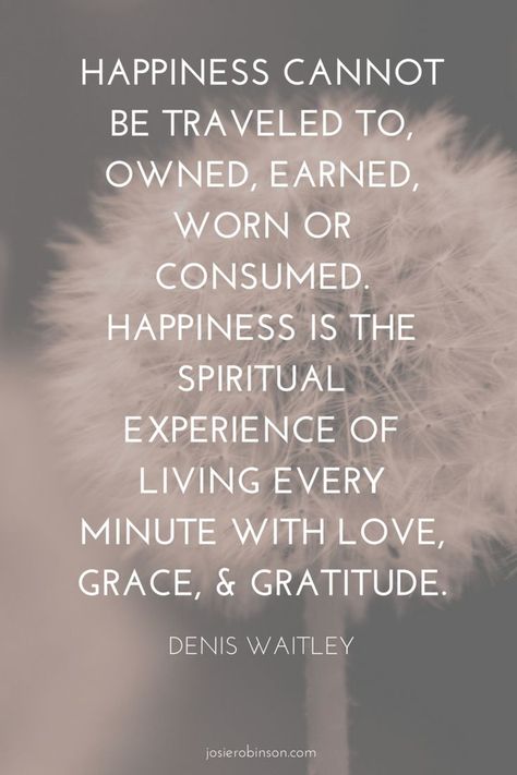 Beautiful quote about gratitude & grace from Denis Waitley. Click the link to read 10 other inspiring gratitude quotes like this one... | inspirational quotes | gratitude quotes | Gratitude Quotes Inspiration, Now Quotes, About Happiness, Motivation Positive, Life Quotes Love, Attitude Of Gratitude, Gratitude Quotes, A Quote, Life Changing