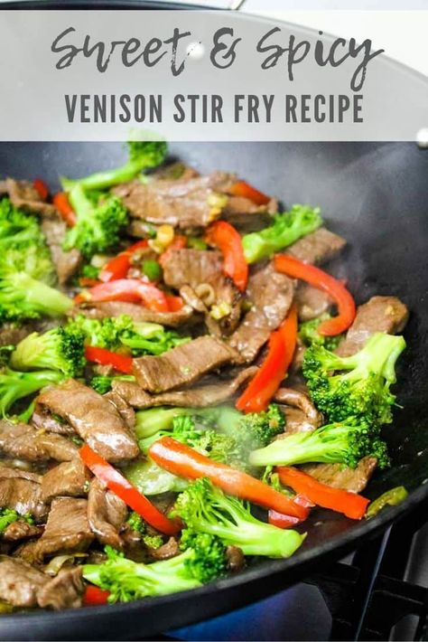 Venison Stir Fry Recipe, Venison Stir Fry, Keto Stir Fry, Deer Recipes, Venison Steak, Deer Meat Recipes, Mapo Tofu, Deer Meat, Stir Fry Recipe