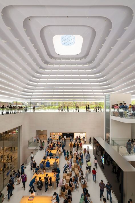 It is the latest Apple Store designed by Foster + Partners. Apple Store Design, Walled Courtyard, Dome Structure, Australia House, Timber Ceiling, Glass Staircase, Foster Partners, Steel Columns, Roof Structure