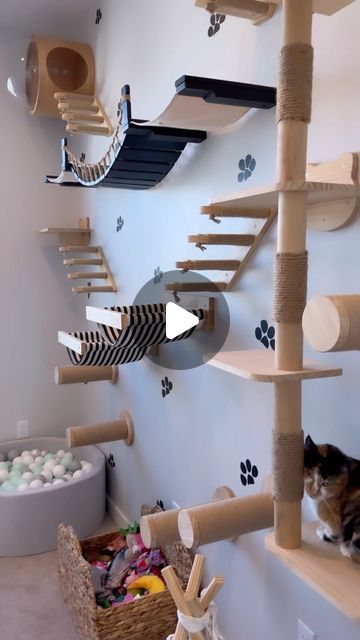 Kareem & Fifi on Instagram: "A TOUR OF OUR CAT ROOM 🐱💖  #instagood #love #cute #room #cat #happy #homedecor #home #family #fun #explore" Cat Room Small Spaces, Cat Playroom Ideas, Kitten Play Area, Mini Cat Room, Cat Bedroom Ideas, Cat Room Ideas Small Spaces, Indoor Cat Room Ideas, Cat Playroom, Room For Cats