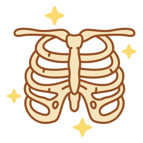 Skeleton rib cage color stroke PNG Design Skeleton Doodle Simple, Ribs Skeleton Png, Ribcage Drawing Simple, Simple Rib Cage Drawing, T Shirts Ideas Design Creative, Cartoon Ribcage, Cute Bone Drawing, Simple Ribcage Drawing, Ribs Drawing Simple