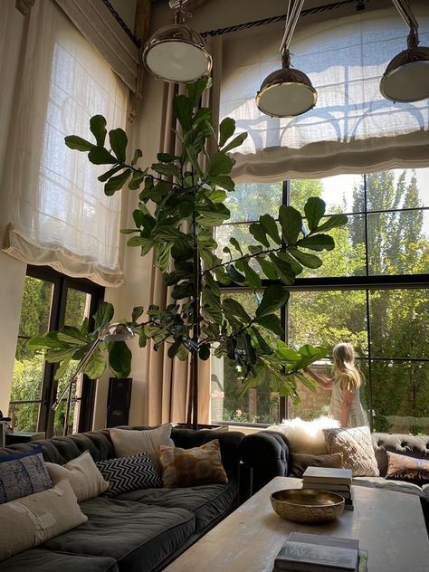 Fiddle Leaf Tree, Tree Interior, Fig Plant, Indoor Tree, Fiddle Leaf Fig Tree, Indoor Trees, Best Indoor Plants, Big Plants, Interior Plants