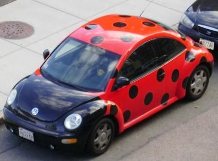 ladybug bug car - Google Search, like alot Vw Beetle Accessories, Ladybug Bug, Punch Buggy, Pink Wheels, Buggy Car, Miraculous Ladybug Tumblr, Bug Car, Car Deco, Beetle Car