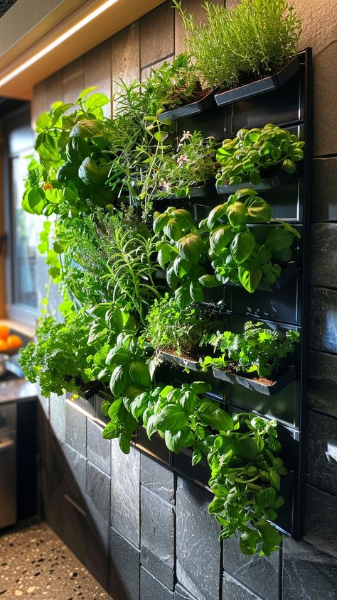 Indoor Vertical Garden: A lush #indoorverticalgarden flourishes with vibrant #greenthumb on a modern dark wall. #homegarden #interiordesign #livinggreen #verticalfarming #plantlovers #aiart #aiphoto #stockcake ⬇️ Download and 📝 Prompt 👉 https://stockcake.com/i/indoor-vertical-garden_370761_436288. Living Wall Cafe, Living Green Wall Indoor, Vertical Wall Garden, Vertical Garden Pots, Edible Flower Garden, Indoor Garden Apartment, Living Wall Indoor, Living Green Wall, Brick Backdrops