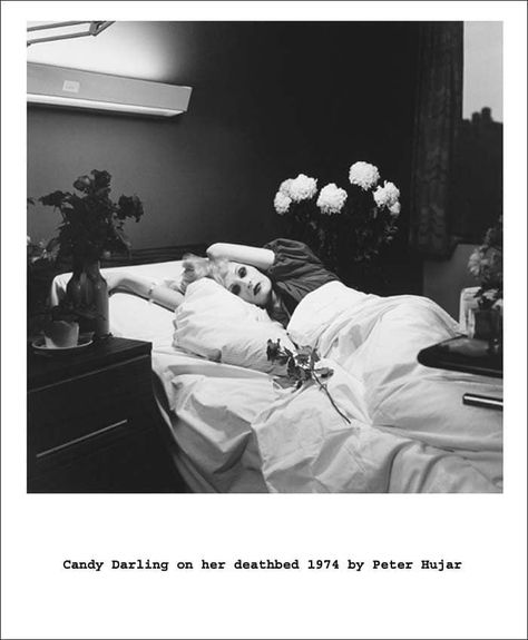 THE ICONIC CANDY DARLING! Peter Hujar, Makeover Madness, Candy Darling, Julia Stegner, Sam Taylor Johnson, Nan Goldin, Jessica Stam, Artist Loft, William Eggleston