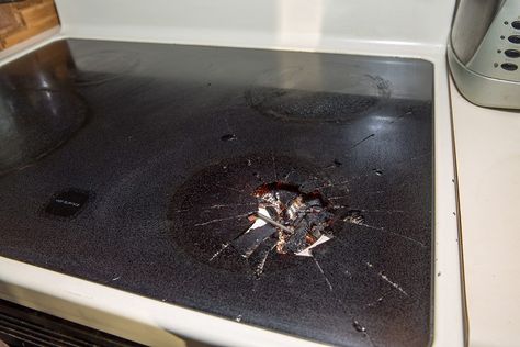 This Is Why You Should Never Place a Hot Lid Facedown on Your Glass Top Stove Recipes Using Bacon, Glass Top Stove, Pyrex Glassware, The Mistake, Shattered Glass, Glass Dishes, Home Maintenance, Cooking Kitchen, Cooking Tools