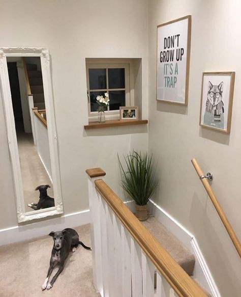 Johnstone's Paint on Instagram: “We're loving this hallway aesthetic 😍 @No14HectorsHouse uses our shade Ivory Spray for a calming neutral space ✨  #interiors…” Ivory Spray Johnstones Paint, Johnstones Paint Wall Colors, Hallway Aesthetic, Hallway Colour Schemes, Neutral Hallway, Office Feature Wall, Landing Decor, House Hallway, Hall Stairs