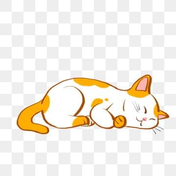 Sleeping Cat Cartoon, Cats Night, Sleep Cartoon, Cute Cat Sleeping, Sleeping Drawing, Pusheen Cute, House Cartoon, Cat Png, House Cat