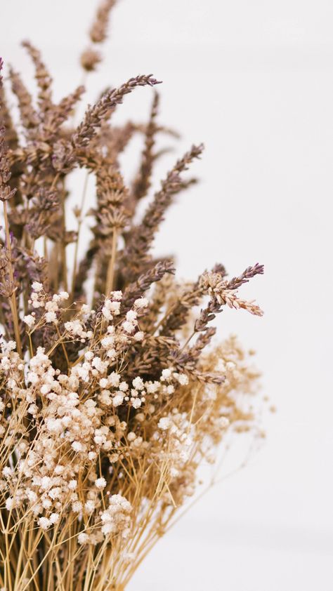 August Iphone Wallpaper Aesthetic, Baby's Breath Aesthetic, Lavender Boho Wedding, Babys Breath Aesthetic, August Aesthetic Wallpaper, August Wallpaper Aesthetic, September Planner, Flower Lockscreen, Dried Baby Breath