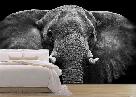 Amazon.com: wall26 - Elephant - Removable Wall Mural | Self-adhesive Large Wallpaper - 100x144 inches: Home & Kitchen Tapestry Black And White, Elephant Tapestry, Bohemian Tapestry, Large Wallpaper, Landscape Scenery, African Elephant, Hippie Bohemian, Wall Mural, Elephant