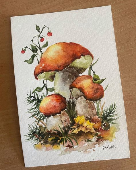 Colored Mushrooms Drawing, Watercolor Art Mushrooms, Watercolor Illustration Ideas, Mushroom Watercolor Paintings, Mushroom Painting Ideas, Watercolour Mushroom, Watercolour Studies, Mushrooms Watercolor, Fall Mushrooms