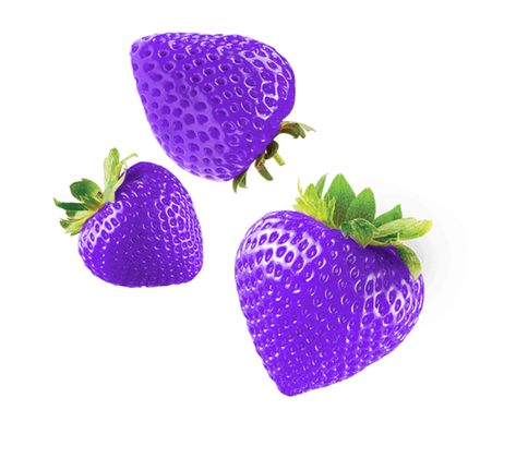 Purple Strawberries, Purple Strawberry Aesthetic, Purple Berries, Pink And Purple Strawberries, Purple Fruit Aesthetic, Purple Strawberry, Weird Fruit, Purple Fruit, Happy Birthday Pictures