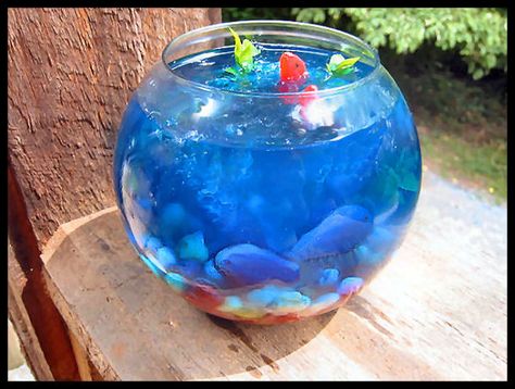 Fish Bowl Jello! Fish Bowl Jello, Mexican Jello, Initiation Basket, Aunt Meme, Jello Treats, Jello Ideas, Barbecue Desserts, Jello Art, Gummy Fish