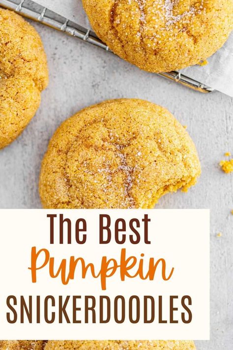 These Pumpkin Snickerdoodles are soft and chewy and full of pumpkin-spiced flavor with a cinnamon-sugar coating. Delicious pumpkin cookies in under an hour! Excellent to make with leftover pumpkin puree and will satisfy any pumpkin spice craving! The melted butter and brown sugar make these easy cookies super chewy and soft! They taste just like Snickerdoodles and pumpkin cookies had a baby! Easy, chewy, soft perfectly spiced cookies for every occasion! Chewy Pumpkin Snickerdoodles, Healthy Pumpkin Snickerdoodle Cookies, Brown Butter Chewy Pumpkin Snickerdoodle, Browned Butter Pumpkin Snickerdoodles, Brown Butter & Maple Chewy Pumpkin Cookies, Pumpkin Snickerdoodles, Pumpkin Sugar Cookies, Leftover Pumpkin, Pumpkin Pie Mix