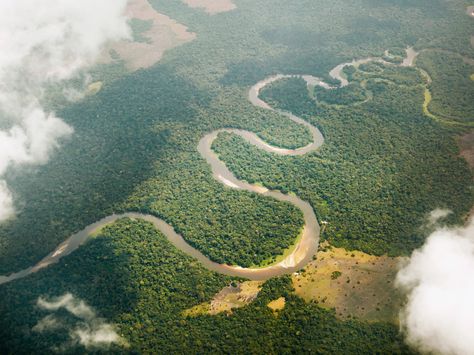 Africa's Congo River claims many titles, including being home to the highest number of unique species in the world. Congo River, Namib Desert, Deep River, Visit Morocco, Beautiful Landscape Photography, Tropical Rainforest, Adventure Tours, Outdoor Landscaping, White Sand Beach