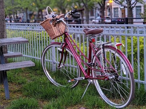 Electra Bicycle Company on Instagram: “It’s always happy hour with the Loft Sangria @venturecyclist” Electra Bicycles, Happy Hour, Sangria, Loft, Bicycle, Bike, Instagram