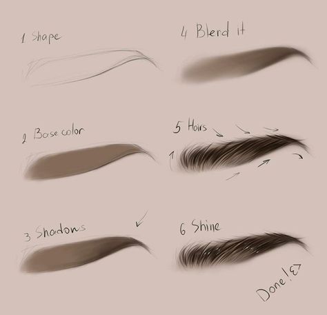 Eyebrow Art, Step By Step Art, Draw Eyebrows, Digital Art Tutorial Beginner, الفن الرقمي, Digital Painting Techniques, How To Draw Eyebrows, 얼굴 그리기, Digital Art Beginner