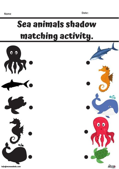 Match the sea animals to the correct shadow. Sea Animals Preschool, Sea Animal Drawing, Doctor Craft, Writing Themes, Positional Language, Letter D Crafts, Summer Activities For Toddlers, Drawing Worksheets, Fruit Coloring