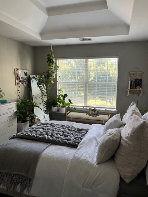 Gray Bedroom With Plants, Grey Bedroom Plants, Clean Plant Bedroom Aesthetic, Natural Light Bedroom Aesthetic, Clean Room Aesthetic White And Grey, Grey And Plant Bedroom, Clean Room With Plants, Aesthetic Plant Room Ideas, White Bedroom With Plants Aesthetic