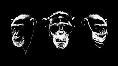 Three Wise Monkeys – Today in History Medieval Japanese, Three Monkeys, 3 Monkeys, Monkey Logo, Monkey Tattoos, Three Wise Monkeys, Wise Monkeys, Hear No Evil, Speak No Evil