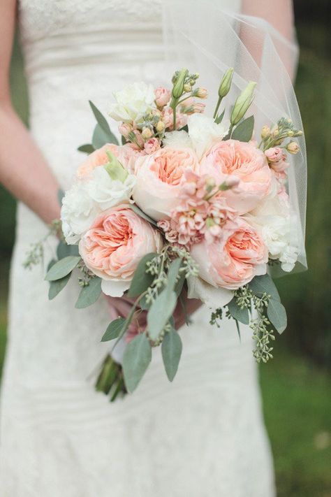 old English roses, seeded eucalyptus bouquet Blush Bouquet Wedding, Massachusetts Wedding, David Austin Roses, Pink And White Flowers, Peach Wedding, Wedding Flower Arrangements, Bride Bouquets, Blush Wedding, Bridal Flowers