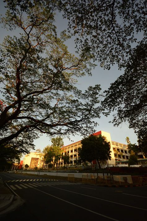 Pinoy Aesthetic, University Of The Philippines Diliman, Philippines Aesthetic, Univ Series, Future School, Be Good To Me, Dream College, College School, Manila Philippines